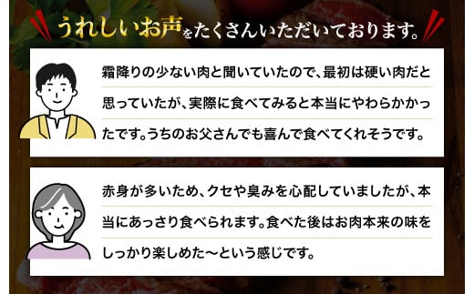 熊本県産 あか牛 モモステーキ 合計500g(250g×2パック) 和牛 牛肉