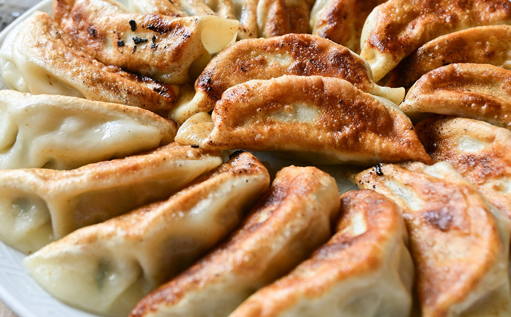 くまもとあか牛 100％ 餃子 合計60個 (20個入 1パック)×3パック