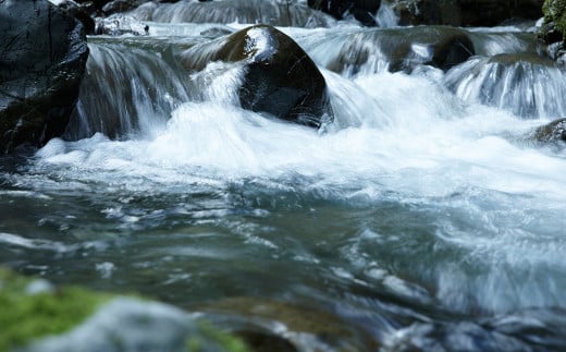 米焼酎 「百」 500ml×1本 23度 お酒 焼酎 酒 アルコール お取り寄せ 贈答用 ギフト【2025年2月上旬～順次発送予定】
