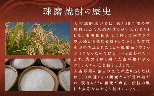 限定川辺 1,800ml 焼酎 2本 セット 米焼酎