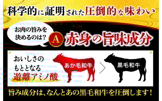 熊本県産 あか牛 スライス 合計1kg(500g×2パック) 和牛 牛肉