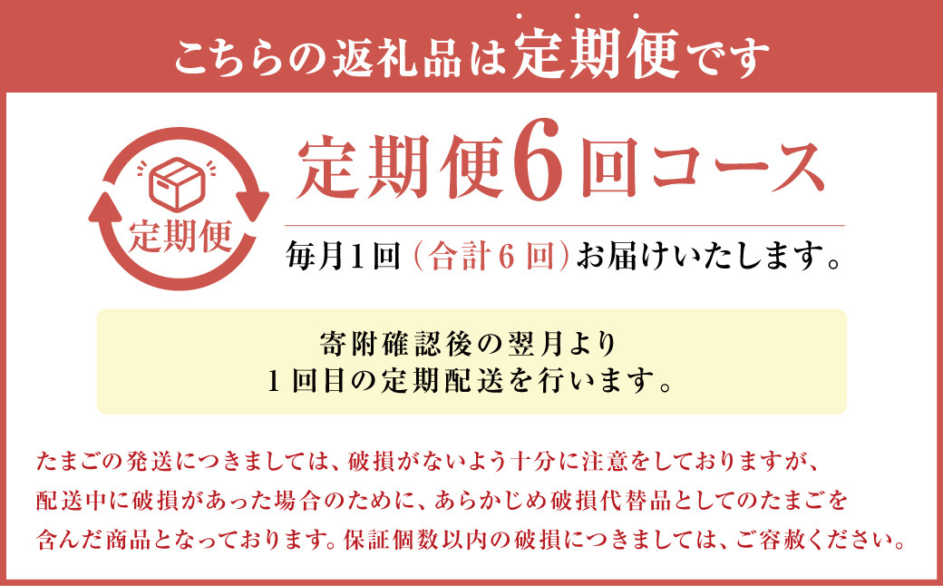 【定期便6回】球磨球子 80個×6回 合計480個 鶏卵 卵 玉子 たまご くまたまご