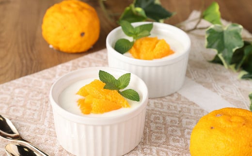 「球磨の恵み ヨーグルト 」 加糖・砂糖不使用 1000g×各2個 合計4個 4kg セット 乳製品