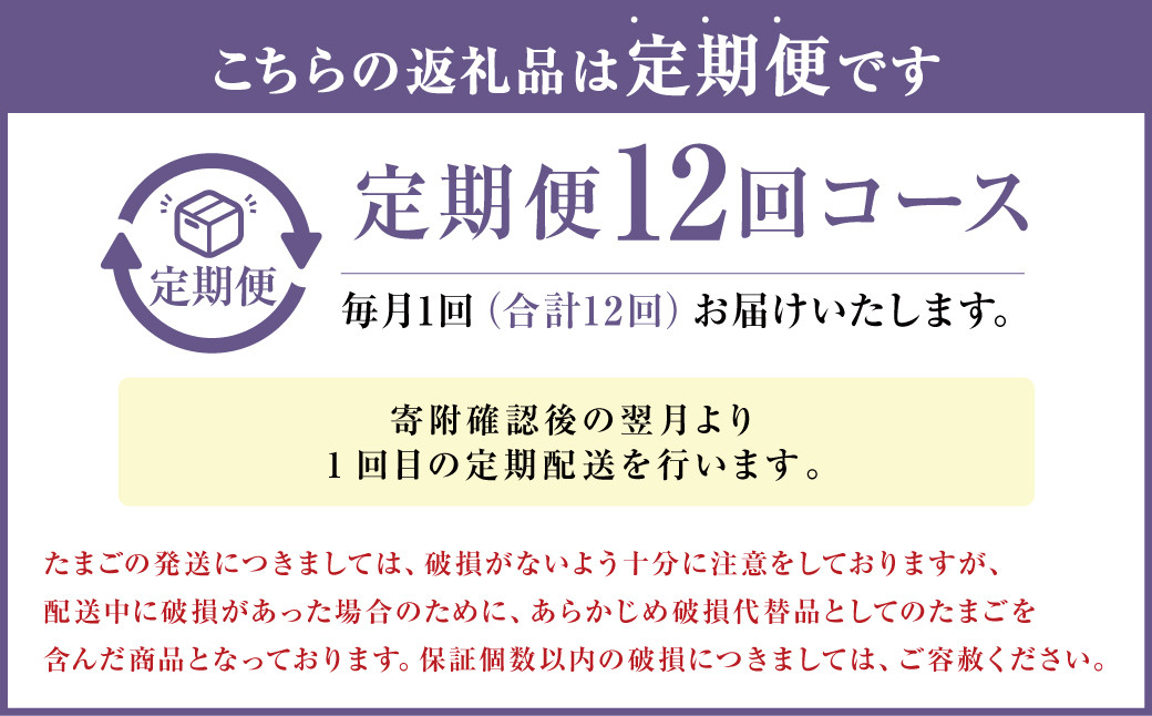 【定期便12回】球磨球子 60個入×12回 合計720個 鶏卵 卵 玉子 たまご くまたまご（破損保証有り）
