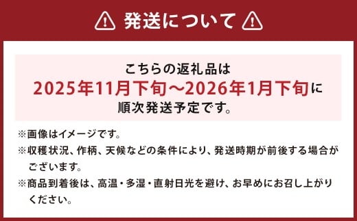 球磨美人 井上さんちの 白ネギ L × 35本
