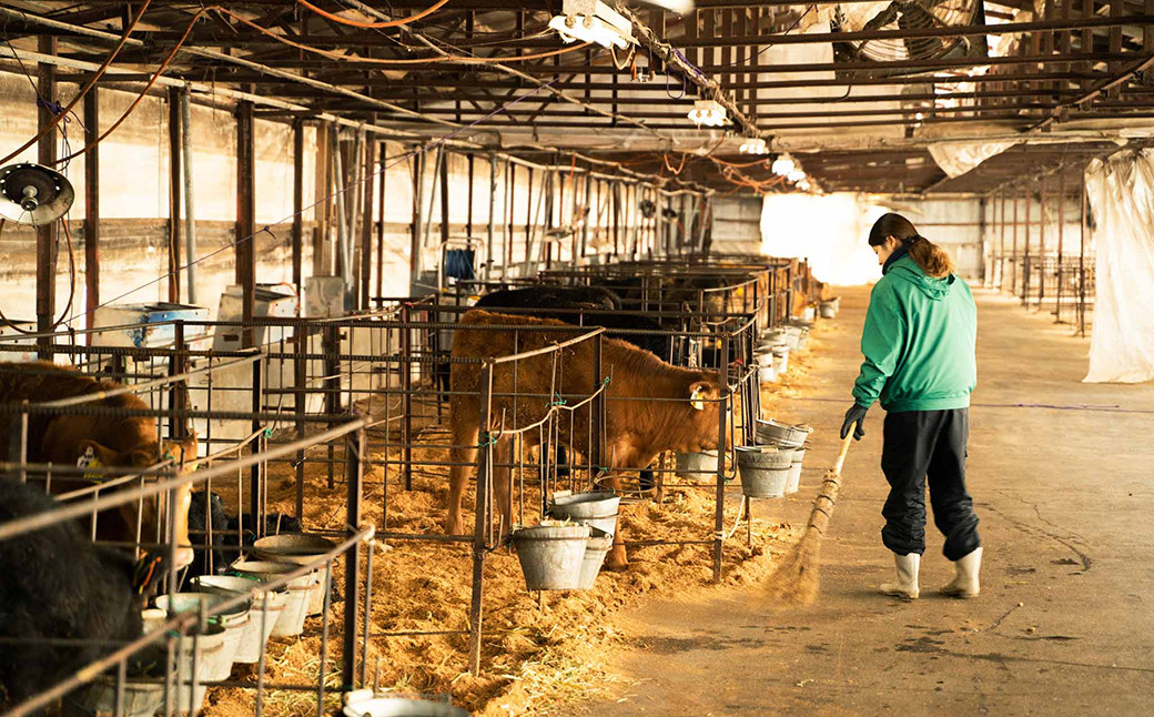 くまもとあか牛 100％ 餃子 合計60個 (20個入 1パック)×3パック