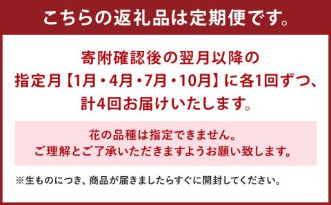 【定期便年4回】おまかせ フラワーアレンジメント(120サイズ)