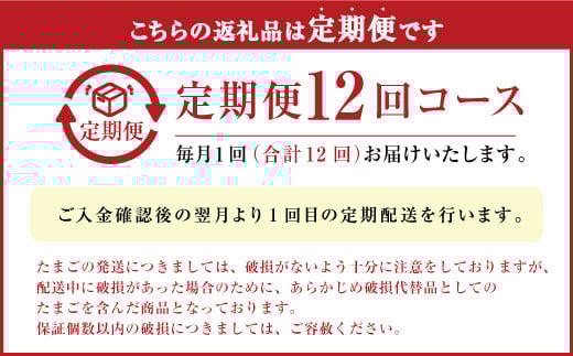 【定期便 年12回】球磨球子 40個入×12回 鶏卵 卵 玉子 たまご くまたまご（破損保証有り）
