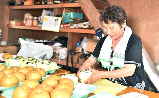 【2023年8月下旬発送開始】梨 豊水 (ほうすい) 4kg 7～12玉 人吉球磨産