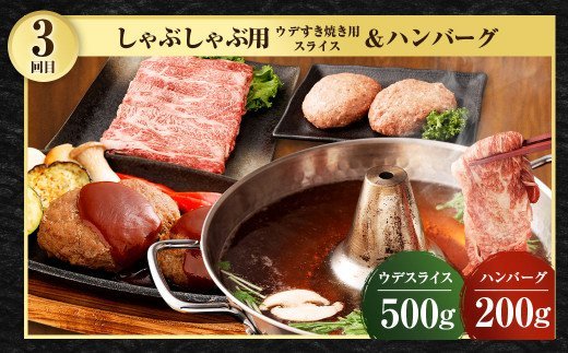 【定期便年3回】九州産黒毛和牛 3つの味が楽しめる贅沢定期便 合計2.2㎏