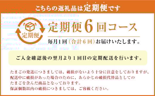 【定期便 年6回】球磨球子 40個入×6回 鶏卵 卵 玉子 たまご くまたまご（破損保証有り）