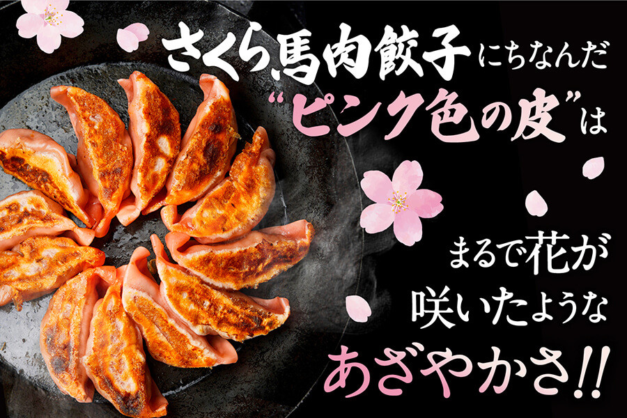 熊本 馬刺し 専門店のさくら馬肉 餃子 80個 国産 冷凍