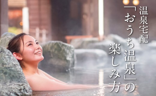 【2個口】【温泉宅配セット】人吉温泉しらさぎの湯20L×2（計 40L）