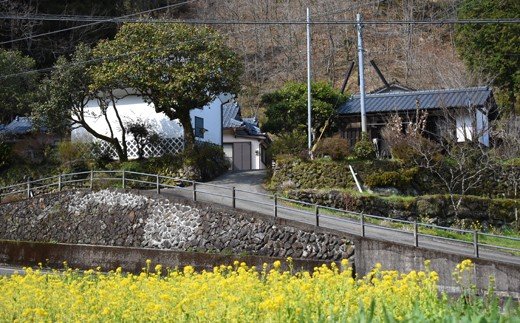 農家民宿『つばき坂』１泊２食付ペア宿泊券