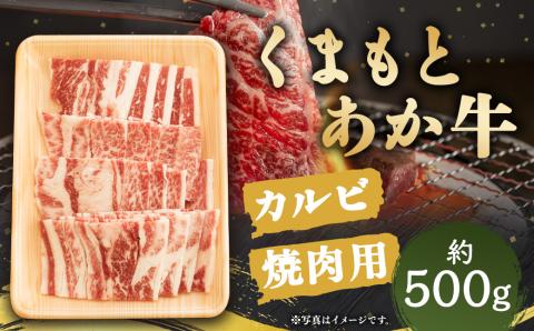 くまもと あか牛 カルビ 焼肉用 約500g×1パック