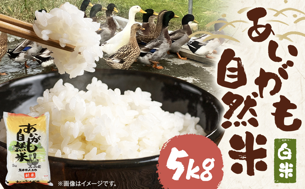 【令和6年産】栽培期間中農薬・化学肥料不使用の合鴨米（白米）「あいがも自然米」5kg 米 お米 こめ 合鴨米 白米 ご飯 精米 熊本 熊本県 人吉 九州 国産 常温 【2025年11月下旬までに発送予定】