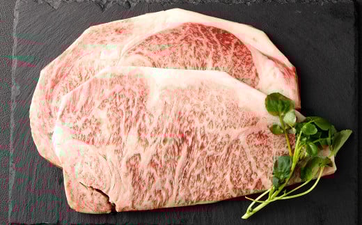 黒樺牛 【2回 定期便】 ロース ステーキ 400g 200g×2パック 計800g 牛肉 ステーキ 和牛 牛 お肉 黒毛和牛 国産 九州産 熊本県産 冷凍