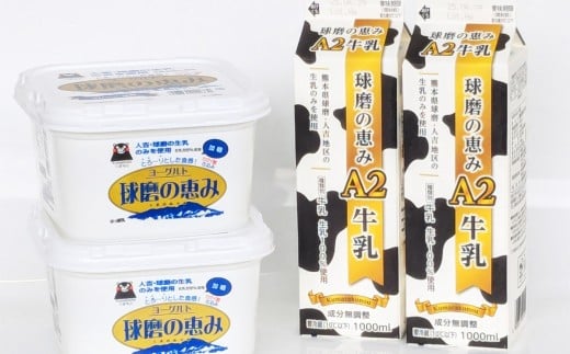 球磨の恵み 「A2牛乳とヨーグルト（加糖）」のセット 牛乳1000ml×2パック ヨーグルト1kg×2パック ／ 生乳 牛乳 ミルク ヨーグルト 乳製品 飲料 飲み物 飲みもの のみもの ドリンク おやつ デザート 国産