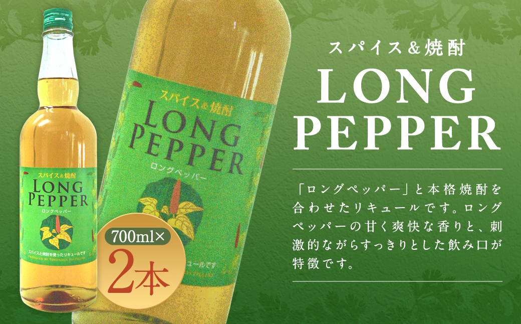 スパイス＆焼酎 ロングペッパー 700ml×2本 計1400ml お酒 酒 アルコール 焼酎 スパイス リキュール