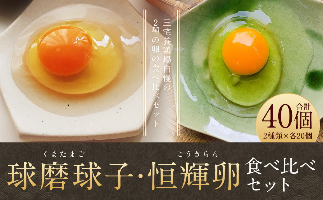 「球磨球子」「恒輝卵」各20個　計40個の食べ比べ 2種 くまたまご こうきらん 卵 たまご 玉子 お取り寄せ（破損保証有り）