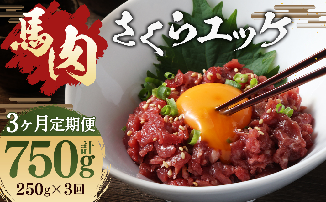 【 3ヶ月 定期便 】 馬肉 さくらユッケ250g （ 50g × 5パック） 合計 750g 肉 お肉 馬 桜 桜ユッケ さくら ユッケ 生 生ユッケ 冷凍