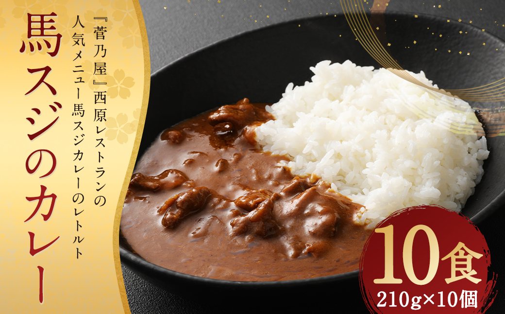馬スジの カレー 10食 セット 計2.1kg