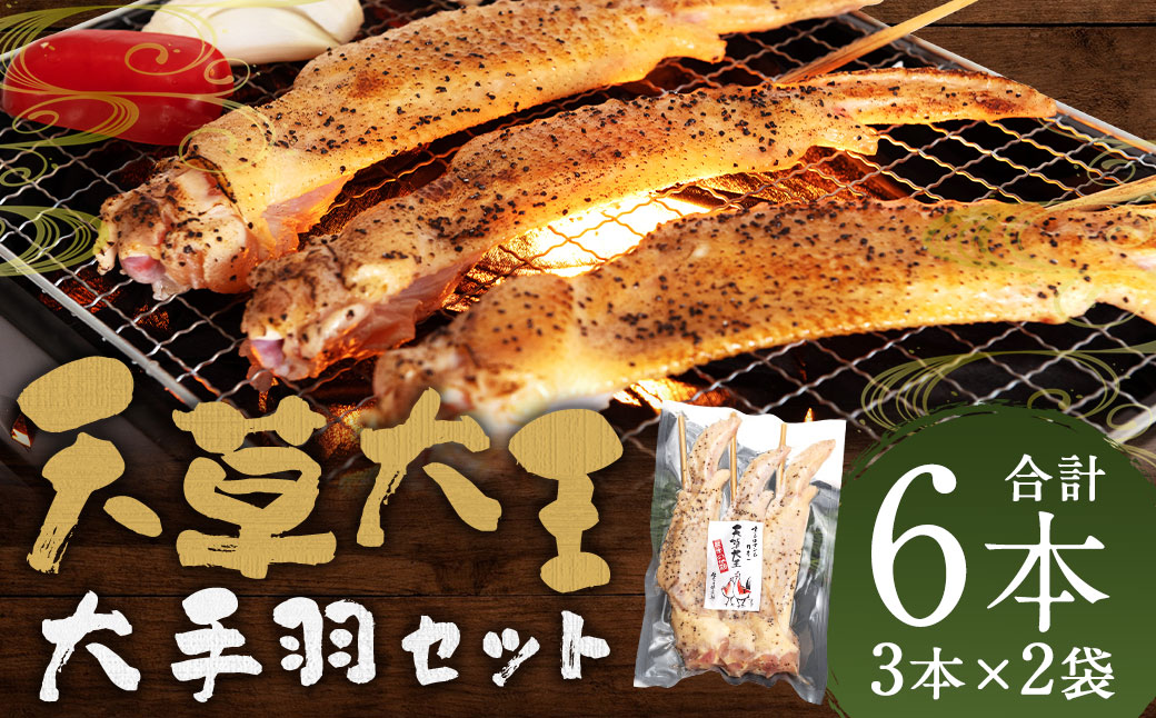 熊本 天草大王 大手羽6本（3本×2）
