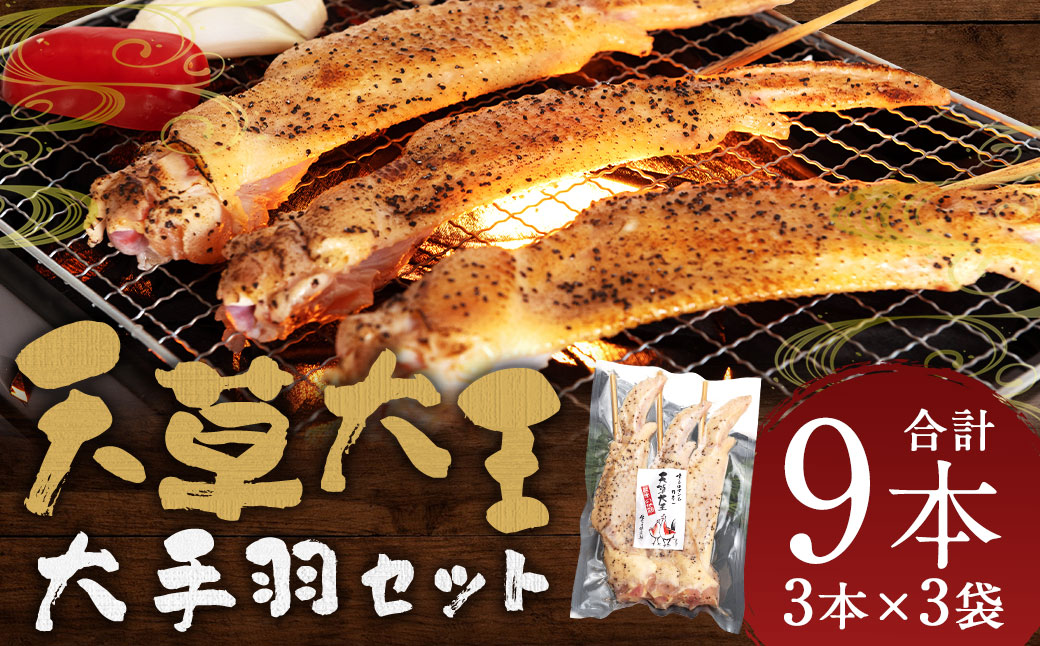 熊本 天草大王 大手羽9本（3本×3）