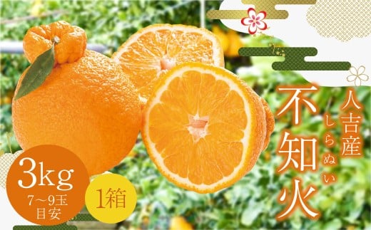 【贈答用】人吉産 不知火 （しらぬい） 3kg