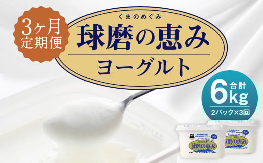 【3ヶ月定期便】球磨の恵みヨーグルト 加糖 1kg×2パック×3回 合計6kg
