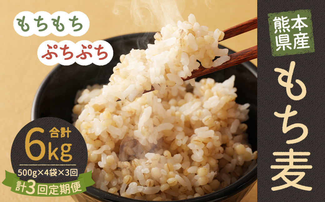 【定期便年3回】 熊本県産 もち麦 合計6kg