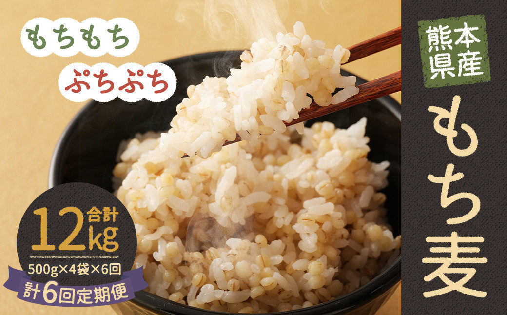 【定期便年6回】 熊本県産 もち麦 合計12kg