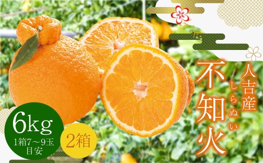人吉産 不知火 (しらぬい) 6kg