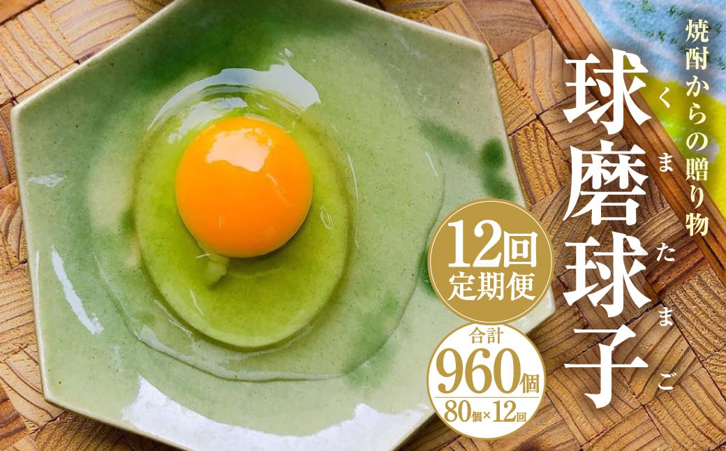 【定期便12回】球磨球子 80個×12回 合計960個 鶏卵 卵 玉子 たまご くまたまご（破損保証有り）