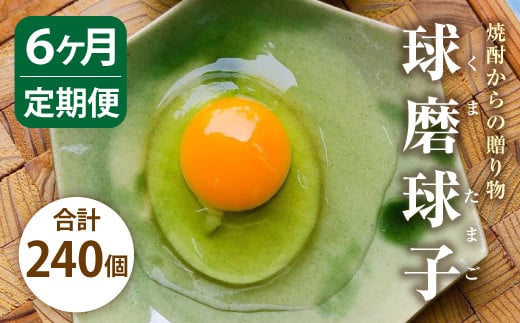【定期便 年6回】球磨球子 40個入×6回 鶏卵 卵 玉子 たまご くまたまご（破損保証有り）