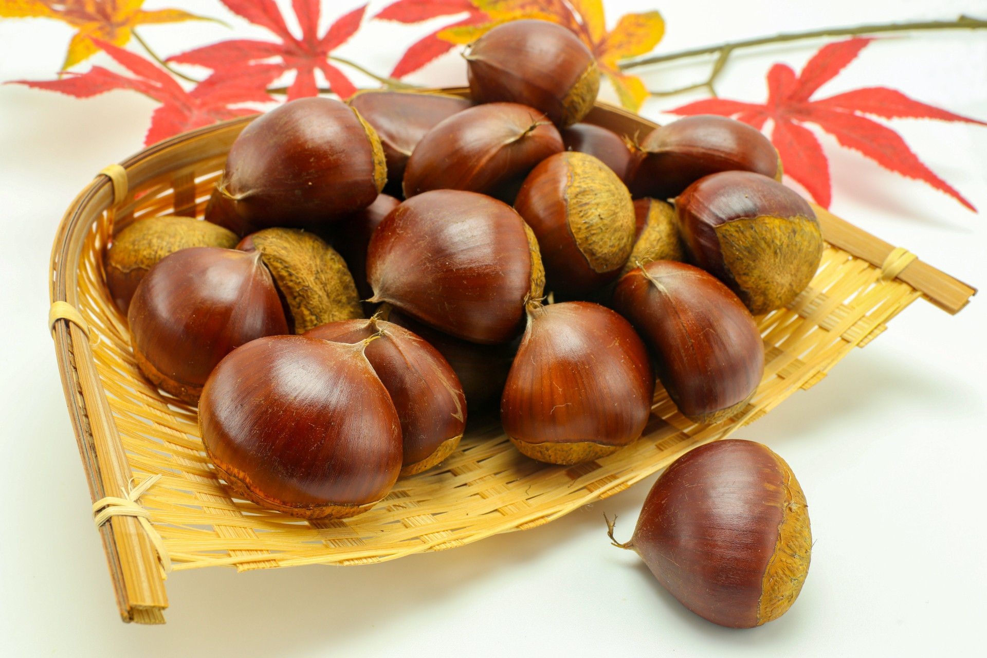 【2022年8月下旬発送開始】人吉市産 訳あり生栗1.5㎏