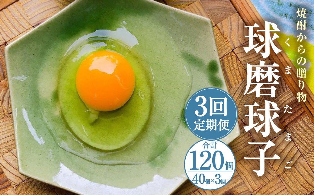 【定期便3回】球磨球子 40個×3回 合計120個 鶏卵 卵 玉子 たまご くまたまご（破損保証有り）