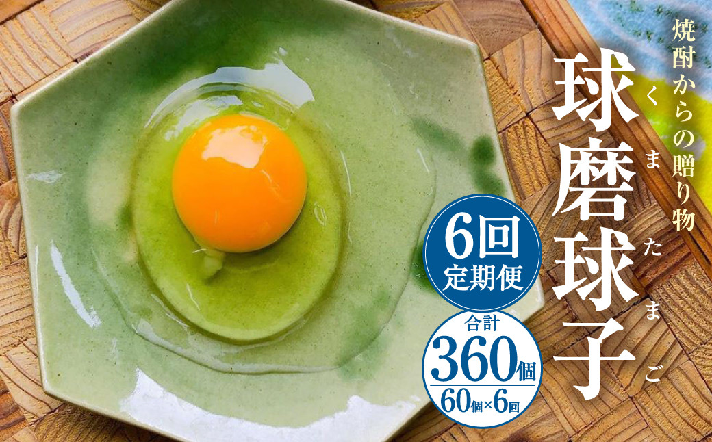 【定期便年6回】 球磨球子 60個入 鶏卵 卵 玉子 たまご くまたまご（破損保証有り）