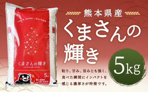 【令和7年産】 くまさんの輝き5kg 【2026年9月下旬迄発送予定】 お米 白米 ご飯 国産 単一原料米 熊本県 人吉市