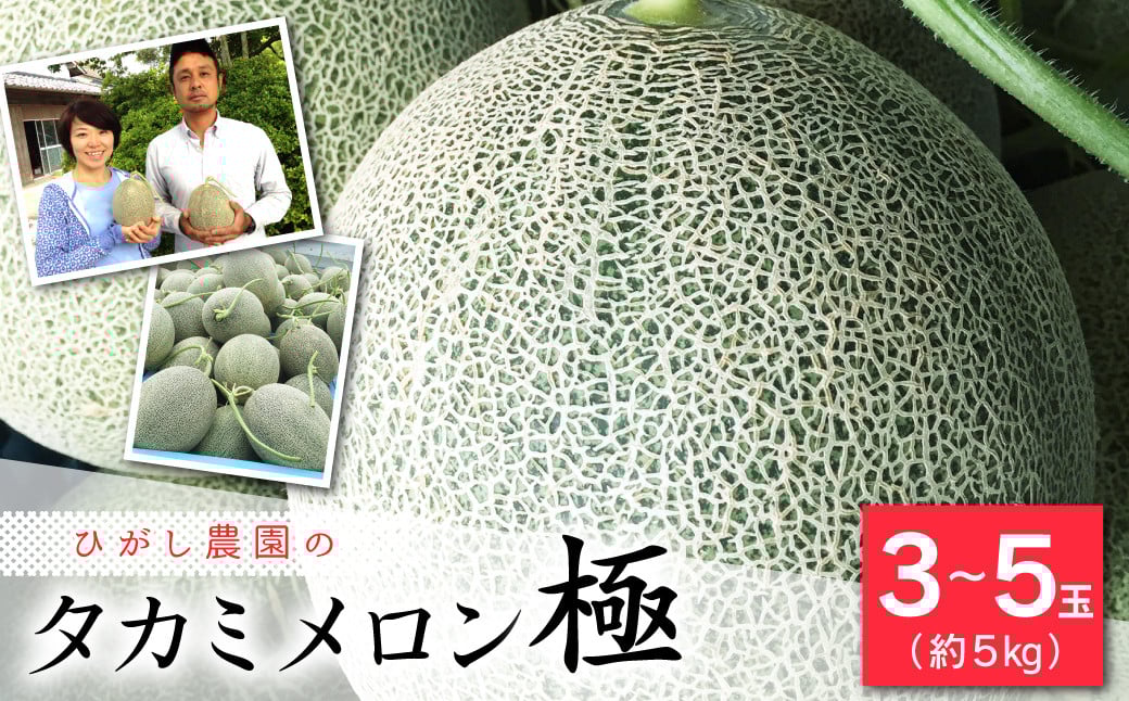 【2024年5月下旬より発送開始】タカミメロン (極)  5kg 程度 (3～5玉)
