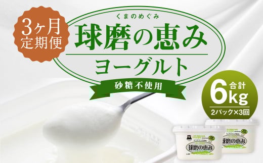 【3ヶ月定期便】球磨の恵 ヨーグルト 砂糖不使用 1kg×2パック×3回 合計6kg