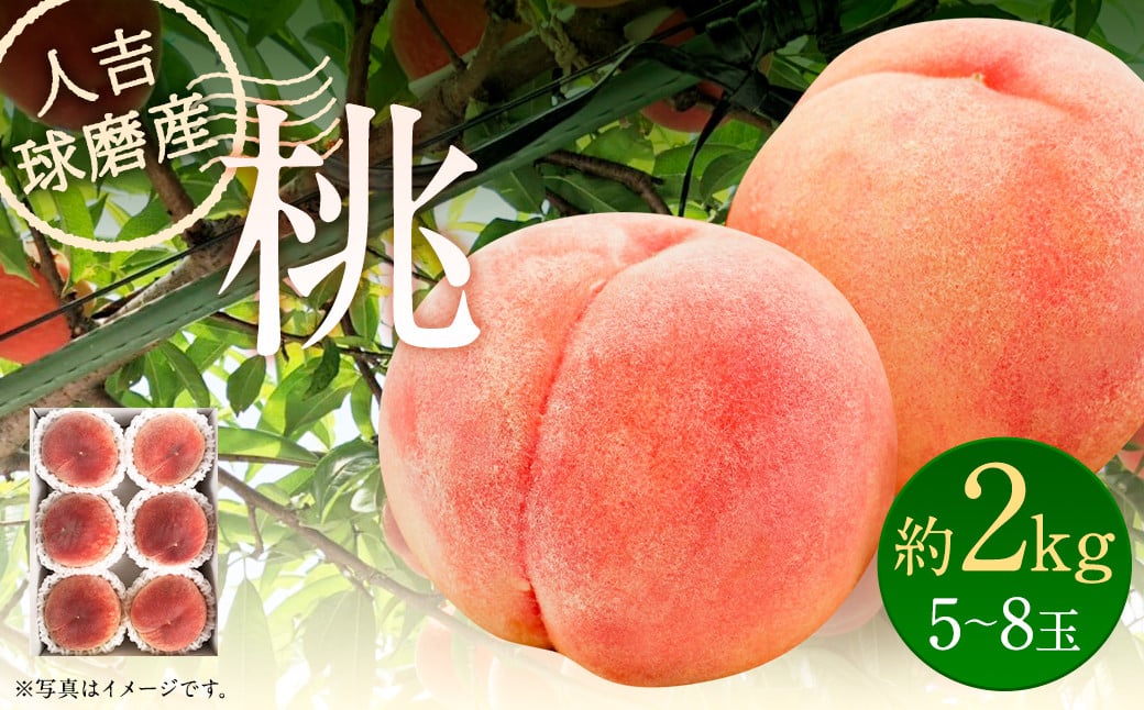 桃 約2kg 5～8玉 人吉球磨産