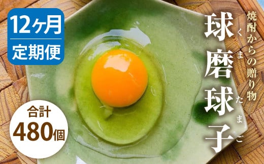 【定期便 年12回】球磨球子 40個入×12回 鶏卵 卵 玉子 たまご くまたまご（破損保証有り）