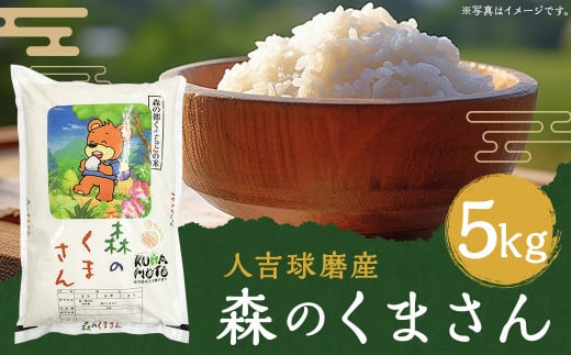 [令和6年産]人吉球磨産 森のくまさん 5kg/お米 米 精米 白米 ご飯 ごはん お取り寄せ