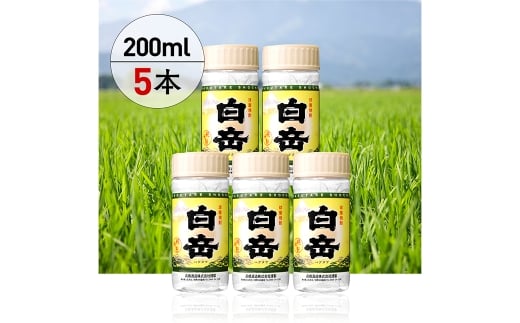 白岳ペット 200ml 5本セット