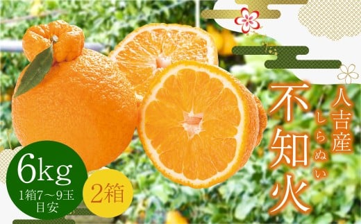 人吉産 不知火 （しらぬい） 6kg
