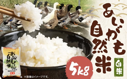 【令和7年産】栽培期間中農薬・化学肥料不使用の合鴨米（白米）「あいがも自然米」5kg