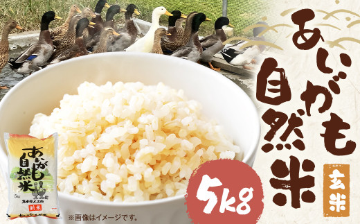 【令和7年産】栽培期間中農薬・化学肥料不使用の合鴨米（玄米）「あいがも自然米」5kg