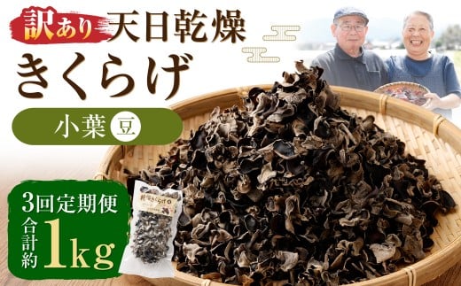 【3ヶ月定期便】【訳あり】天日乾燥きくらげ「小葉（豆）」50g×7パック 合計350g