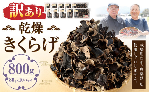 【訳あり】乾燥きくらげ 800g （80g×10パック）